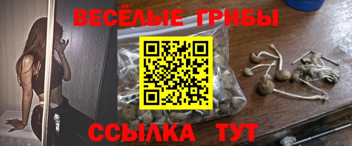 Псилоцибиновые грибы мицелий  Галлюциногенные грибы Psilocybe  Борзя  магазин продажи наркотиков  Вход с VPN 